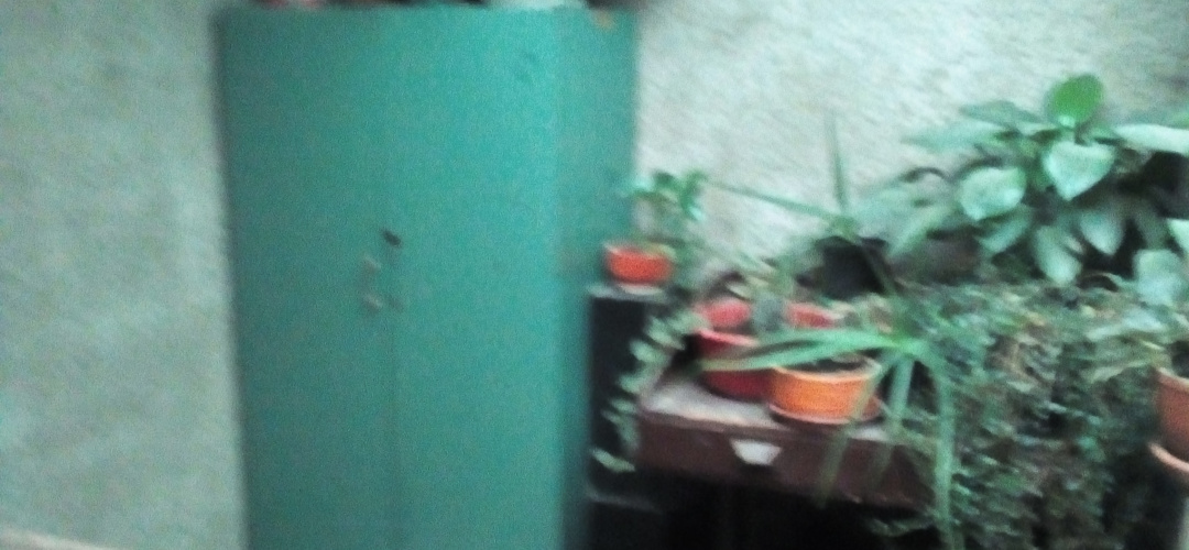 3 Bedrooms Bedrooms, 3 Rooms Rooms,1 BathroomBathrooms,Casa,En venta,1092
